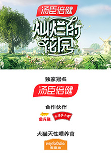 灿烂的花园海报