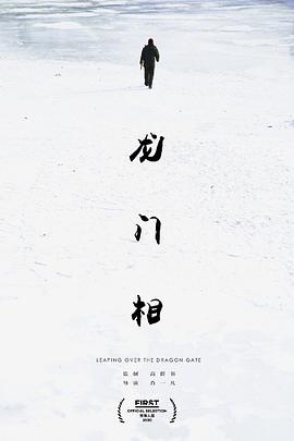 龙门相海报