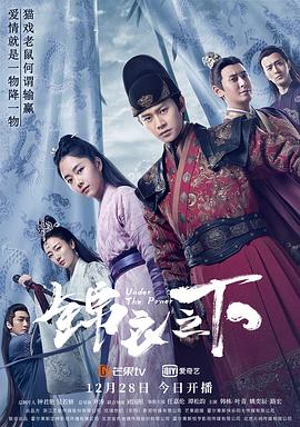 锦衣之下[电影解说]海报