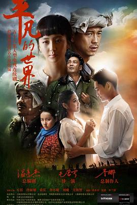 平凡的世界2015[电影解说]海报