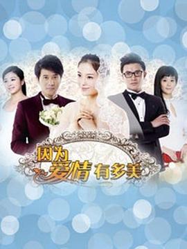 因为爱情有多美[电影解说]海报