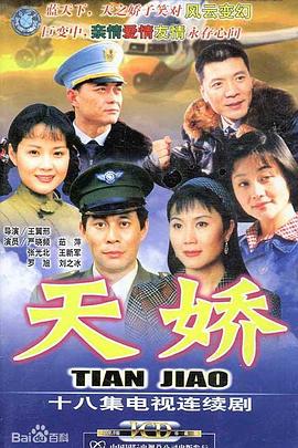 天娇2003[电影解说]海报