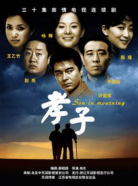 孝子2006[电影解说]海报