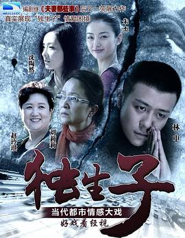 独生子2013[电影解说]海报