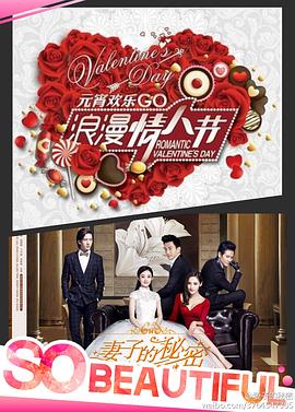 妻子的秘密2014[电影解说]海报