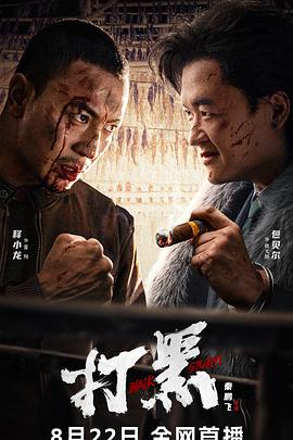 打黑2024[电影解说]海报