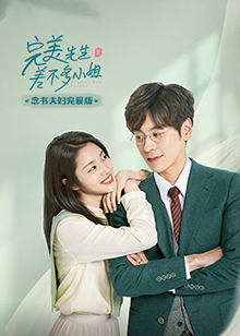 完美先生和差不多小姐念书夫妇宠爱版海报