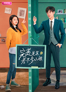 完美先生和差不多小姐印尼语字幕版海报