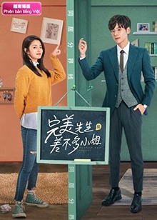 完美先生和差不多小姐越南语版海报