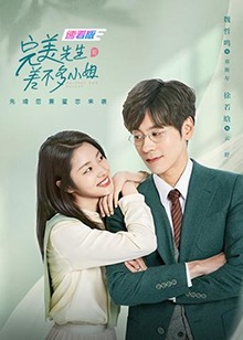 完美先生和差不多小姐速看版海报