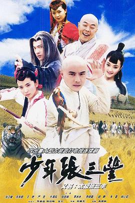 少年张三丰2001海报