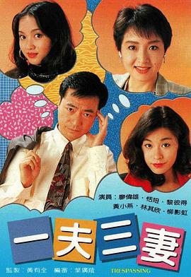 一夫三妻国语海报