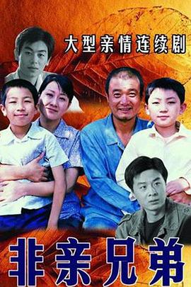 非亲兄弟205[电影解说]海报
