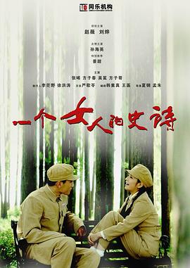 一个女人的史诗[电影解说]海报