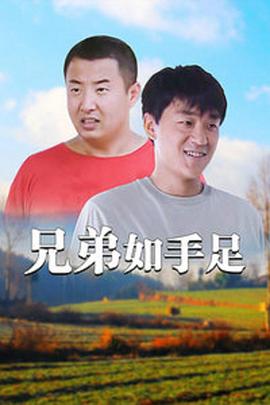 兄弟如手足[电影解说]海报