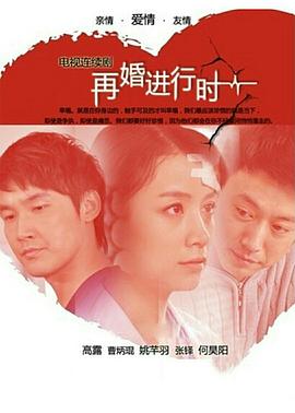再婚进行时[电影解说]海报