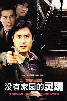 没有家园的灵魂[电影解说]海报