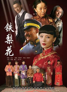铁梨花[电影解说]海报