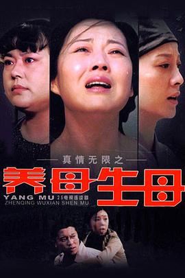 真情无限之养母生母[电影解说]海报