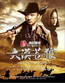 大漠苍狼2013[电影解说]海报