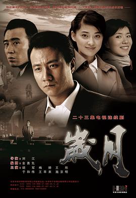 岁月2010海报