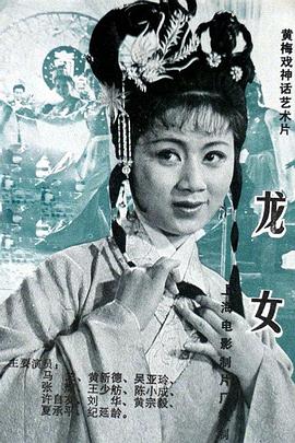 龙女1984海报
