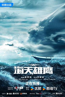 海天雄鹰[电影解说]海报