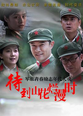 待到山花烂漫时[电影解说]海报