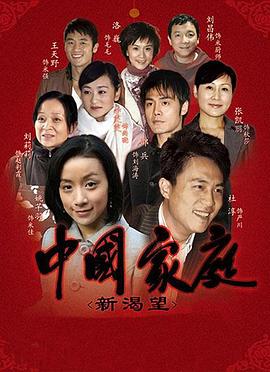 中国家庭之新渴望[电影解说]海报