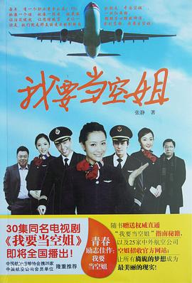 我要当空姐[电影解说]海报