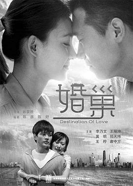 婚巢2012[电影解说]海报