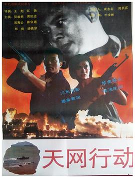 天网行动1994海报