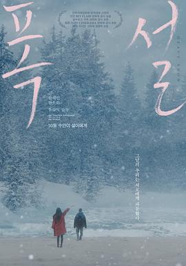 暴雪2023海报