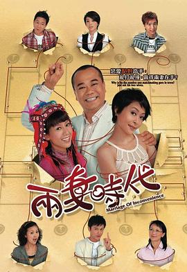 两妻时代[电影解说]海报