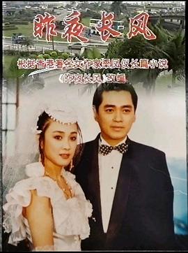 昨夜长风1995[电影解说]海报