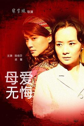 母爱无悔[电影解说]海报