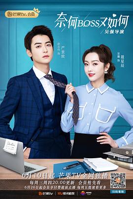 奈何BOSS又如何[电影解说]海报
