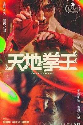 天地拳王[电影解说]海报