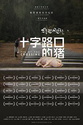 十字路口的猪[电影解说]海报