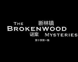 断林镇谜案第十季海报