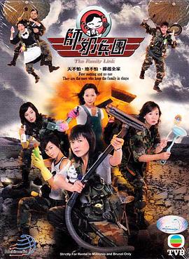 师奶兵团国语海报