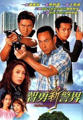 智勇新警界国语海报