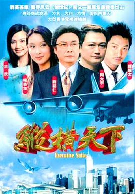 纵横天下国语海报