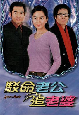 驳命老公追老婆国语海报