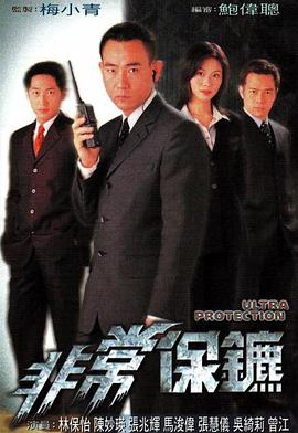 非常保镖国语海报