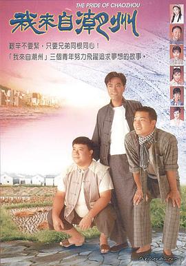 我来自潮州国语海报