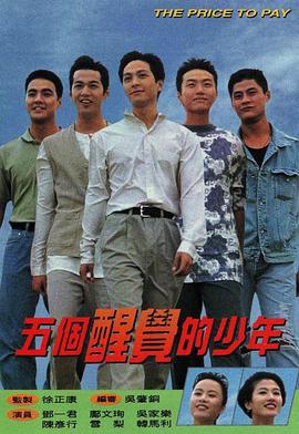 五个醒觉的少年国语海报