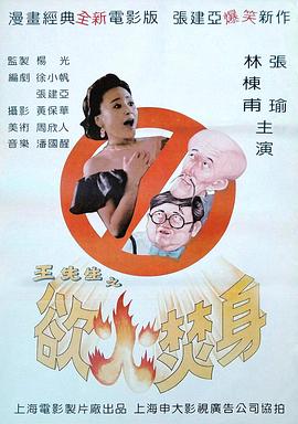 王先生之欲火焚身[电影解说]海报
