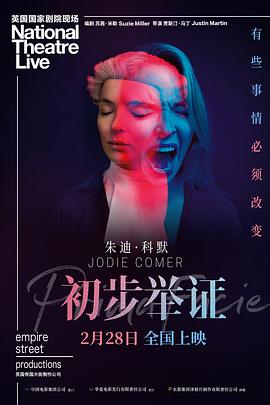 初步举证[预告片]海报