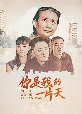 儿子2008[电影解说]海报